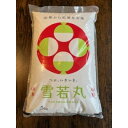 【ふるさと納税】令和6年産 山形県産【雪若丸】玄米 20kg(5kg×4袋)【1564168】