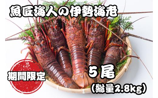 魚匠海人おすすめ！熊野灘産 「活  伊勢海老 2.8㎏ 」《５尾》 大漁コース 正月 おせち お歳暮 刺身 天然 お祝い 海鮮 魚介 BBQ バーベキュー みそ汁【F01】