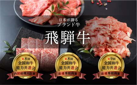 【定期便】飛騨牛一頭分食べつくし（最大 36回）総重量 約300kg 牛肉 ブランド牛 牛 一頭 定期 お肉 肉 肉贈 飛騨萩原畜産【22-C】