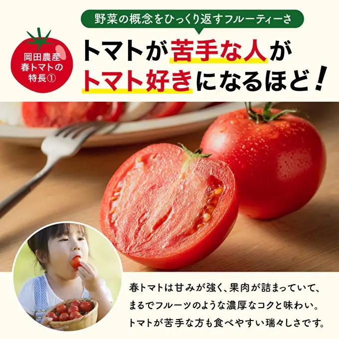 トマト 野菜 トマトの一番星 完熟 高糖度 トマト【1kg×3回】【定期便】