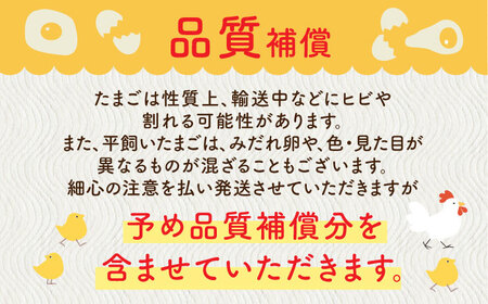 【全3回定期便】ばあちゃんの昔たまご 計180個（55個+5個×3回（割れ補償付き）） / 平飼い卵 / 佐賀県 / 素ヱコ農園 [41AEAA010]