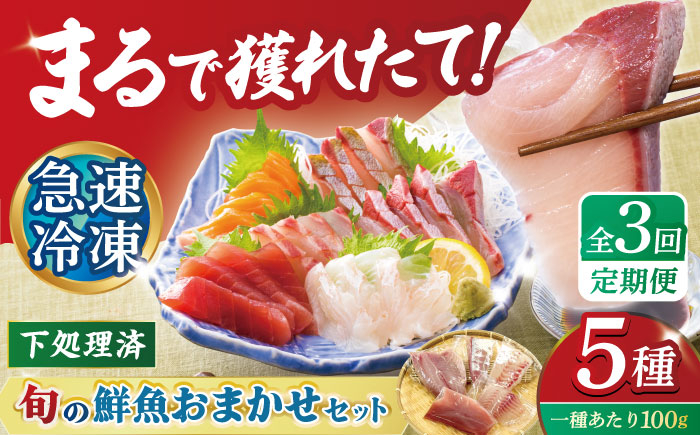 
            【3回定期便】海鮮 超速冷凍鮮魚5種 五島市/金沢鮮魚[[PEP019]刺身 さしみ 刺し身 刺身セット 刺身 刺身丼 海鮮丼 セット 冷凍 海鮮  海鮮丼の具 盛り合わせセット 小分け 海鮮 魚介人気  セット 魚介類 海鮮 人気 柵 真空パック 新鮮 下処理済み
          