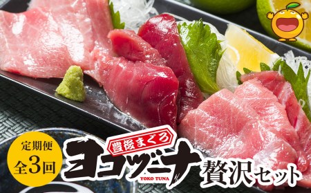 【定期便・全3回】豊後まぐろ ヨコヅーナ 贅沢セット 赤身250g 中トロ500g 大トロ250g 入りの豪華セット刺し身 刺身 マグロ 鮪 大分県産 九州産 津久見市【tsu0003019】