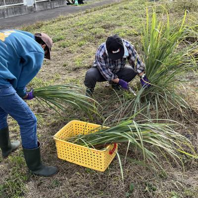 ふるさと納税 江南市 くるみの里ハーブティーセット5種類×2袋 |  | 03