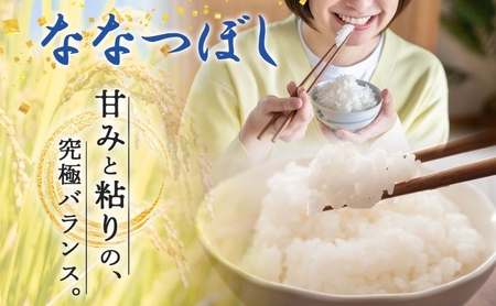 北海道 定期便 6ヵ月連続6回 令和5年産 ななつぼし 無洗米 5kg×1袋 特A 米 白米 ご飯 お米 ごはん 国産 ブランド米 時短 便利 常温 お取り寄せ 産地直送 送料無料 