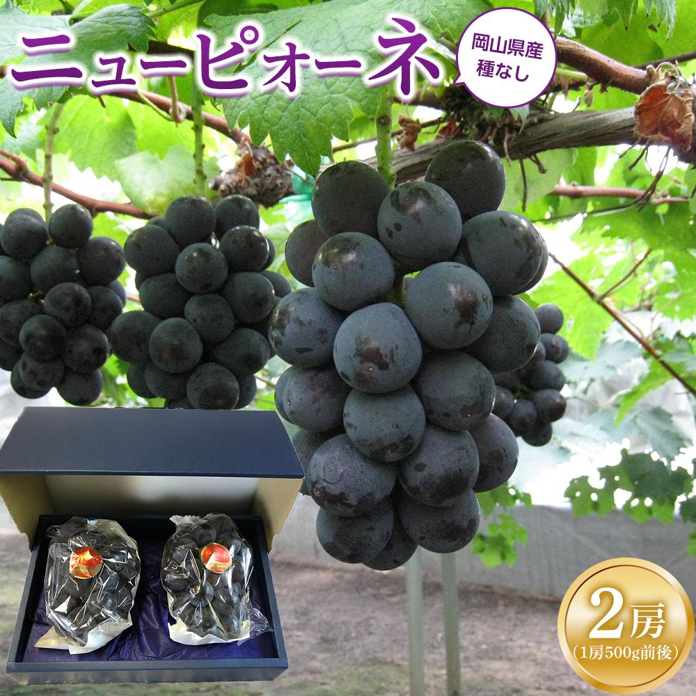 【ふるさと納税】ぶどう 2026年 ニュー ピオーネ 2房（1房500g前後） 産地直送 ブドウ 葡萄 岡山県産 国産 フルーツ 果物 ギフト たけまさぶどう園 | フルーツ 果物 くだもの 食品 人気 おすすめ 送料無料