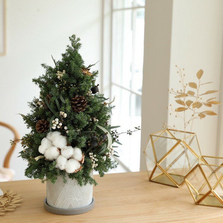 【ふるさと納税】【クリスマス限定！申込は11月30日まで】プリザーブドフラワー ノルディックツリー＜Fine＞ ｜花 ギフト プレゼント アレンジ おしゃれ 母の日 誕生日 結婚祝い 退職祝い お祝い クリスマス