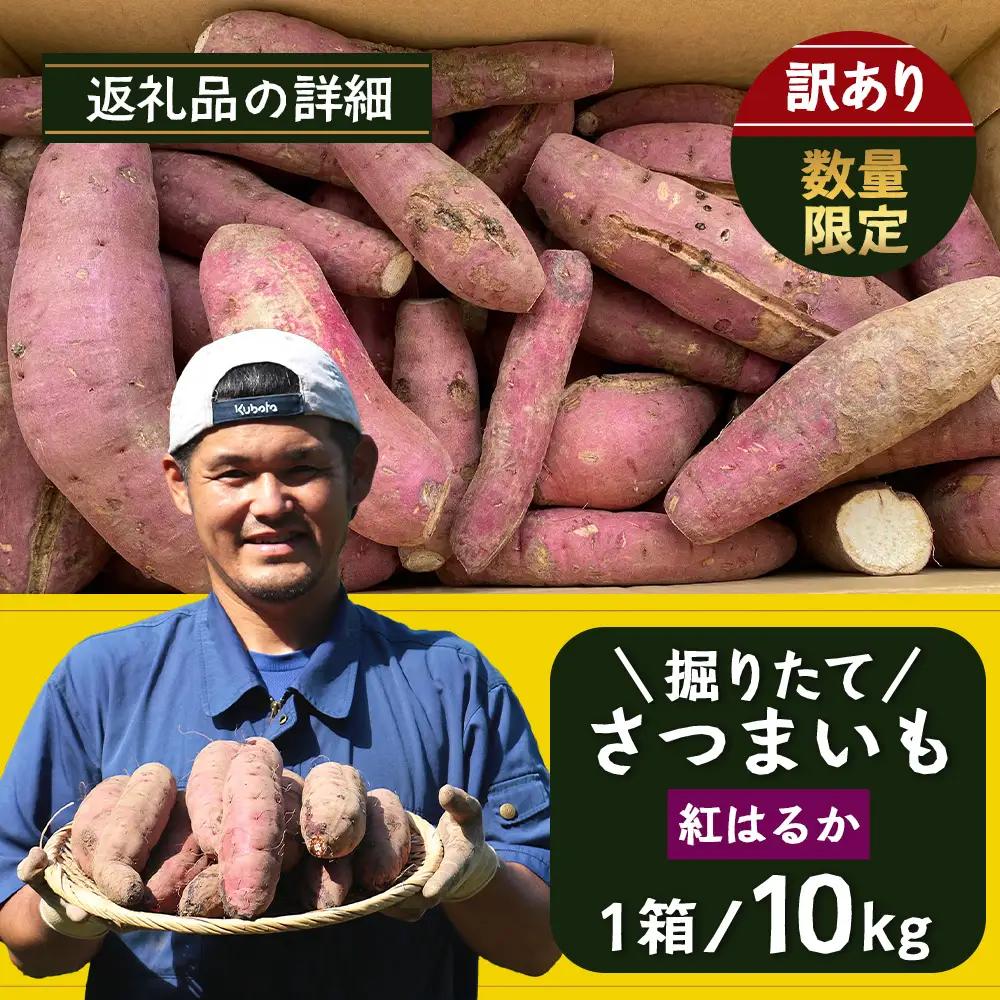 【訳あり！】【先行予約：9月中旬配送～】掘りたて さつまいも 紅はるか 10kg (自宅で簡単レシピ付き）FR-208 | 秋の味覚 2026年秋収穫 サイズランダム 家庭用 新物 さつまいも サツマ