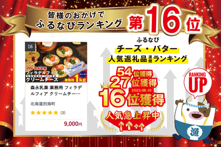 森永乳業 業務用 フィラデルフィア クリームチーズ 1kg ちーず 国産 （ちーず チーズ クリームチーズ 北海道 別海町 人気 ふるさと納税 )