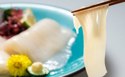 【道水 DOHSUI】 訳あり 真いかお造り ジャングル 500g×2パック いか刺身 いかそうめん HOKD016