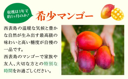 満足度NO.1！1玉1玉検品し、樹上完熟で糖度14度以上のみ発送します！ 西表島プレミアムマンゴー2kg