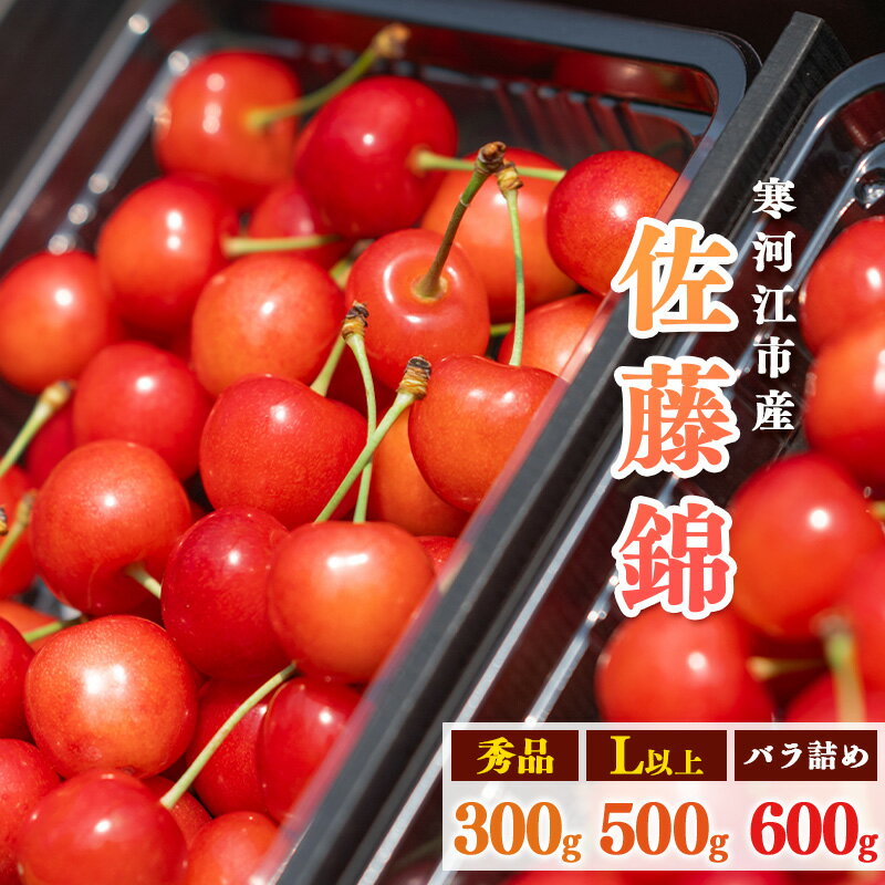 【ふるさと納税】《受付終了間近！》山形県産 さくらんぼ 選べる！「 佐藤錦 」300g 〜 600g 秀品 Lサイズ以上 【2025年6月上旬頃〜下旬頃発送予定】／ お取り寄せ フルーツ 果物 果実 特産 山形産 300グラム 250グラム 500グラム 600グラム 2025年産 令和7年産 山形県産