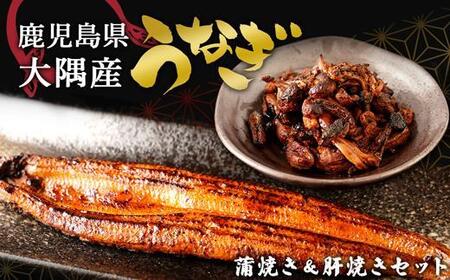 千歳鰻の 蒲焼 １尾 ・ 蒲焼のタレ ・ 焼肝 セット｜うなぎ うなぎ