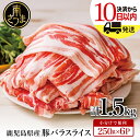 鹿児島県産 豚バラスライス 1.5kg