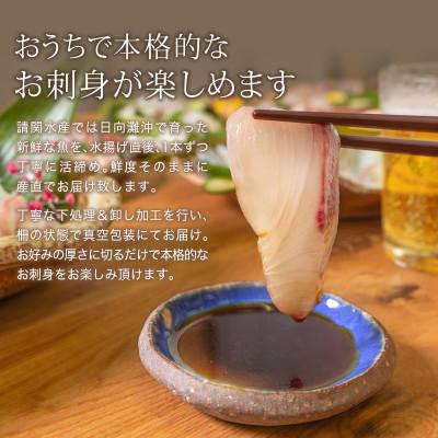 ふるさと納税 門川町 ヒラメのお刺身(1尾分:約300g〜400g)(門川町) |  | 01