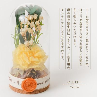 ふるさと納税 羽島市 プリザーブドフラワー ガラスドーム型アレンジ 【イネス ミニ(イエロー)】 |  | 01