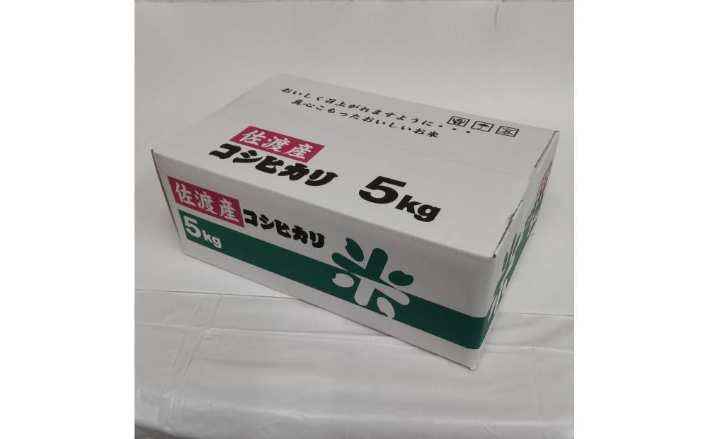 令和7年産 佐渡産コシヒカリ米「朱鷺の舞」5kg 佐渡・今井茂助商店おすすめ