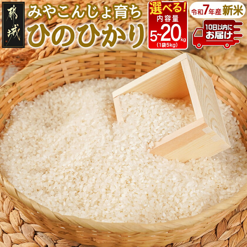【ふるさと納税】【内容量が選べる！】みやこんじょ育ち都城産ひのひかり≪みやこんじょ特急便≫ - ヒノヒカリ 内容量が選べる 5kg/10kg/20kg 米 旨味 粘り 白米 ごはん 送料無料 SKU-K701【宮崎県都城市は2年連続ふるさと納税日本一！】