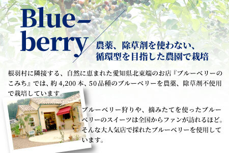 NEW★農薬！除草剤不使用！30品種をブレンドした ブルーベリー アイス16個入り アイスクリーム ブルーベリー 