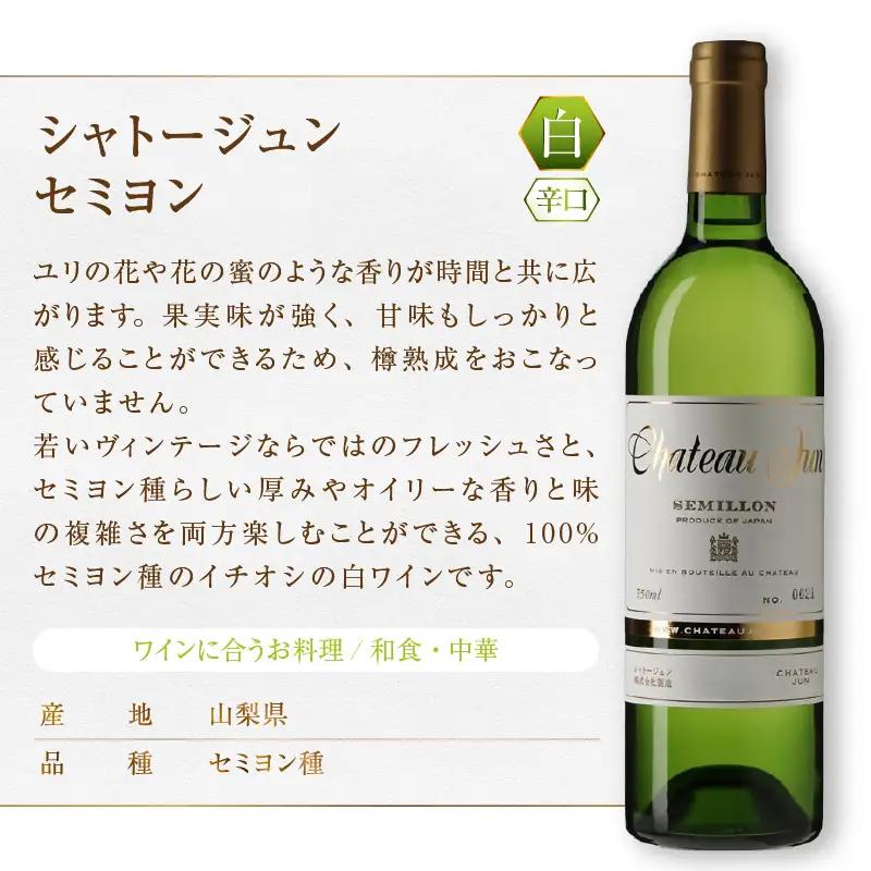 ワイン シャトージュン 3品種飲み比べセット【MERLOT・SAUVIGNON BLANC・SEMILLON】（MG）E-664