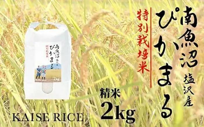 【令和7年産】南魚沼産塩沢【ぴかまる】（特別栽培米８割減農薬）精米２ｋｇ