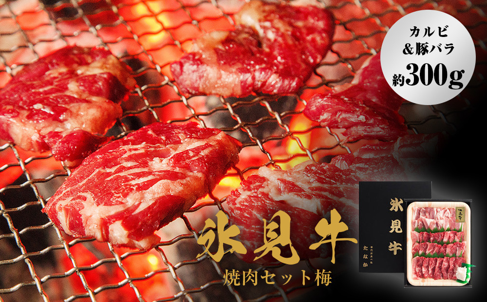 
氷見牛焼肉セット梅（カルビ＆豚バラ約300g）
