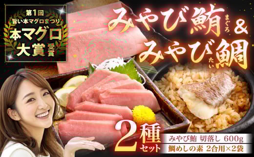 まぐろ みやび鮪 切り落とし 600g ＋ 鯛めしの素 2袋 まぐろ マグロ 鮪 切落し 坂田水産 長崎