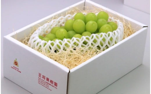 08-03-008　ぶどう(シャインマスカット)1～2房