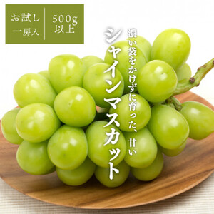 【発送月固定定期便】【きよとうファーム】桃と葡萄どっちも食べたい便!【お試し便】(岡山県産)全2回【配送不可地域：離島】【4067481】