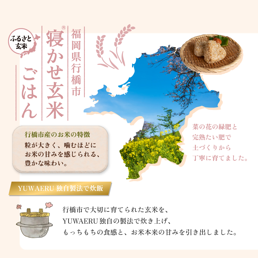 AI-187_【ふるさと玄米】寝かせ玄米ごはんパック　福岡県行橋市産【160g×6食セット】