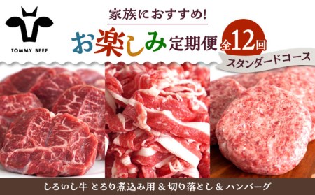 【12回定期便】家族向け お楽しみ 定期便/ 牛肉 お肉 肉 ハンバーグ 切り落とし 炒め物 贅沢 九州 [IAH211]