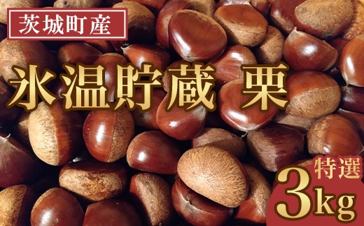 
                  693 氷温貯蔵 栗 特選 3L 3kg【海老澤農園】
                