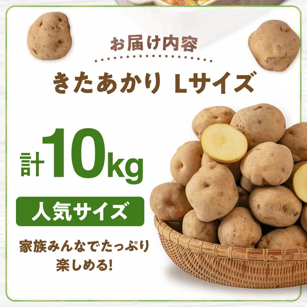  【先行予約】じゃがいも キタアカリ 10kg じゃがいも AJAK010