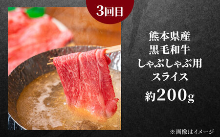 3回定期便 お肉おためし定期便 ステーキ馬刺し黒毛和牛AYZZ001