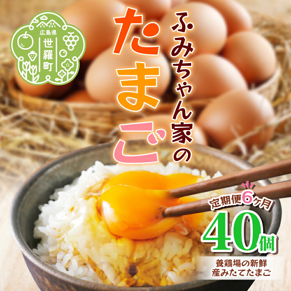 【ふるさと納税】【定期便6カ月】ふみちゃん家のたまご 40個入《合計6回発送》広島県 卵 たまご タマゴ 玉子 新鮮 世羅 生みたて卵 卵かけごはん だし巻き スイーツ 定期便 TKG A027-06