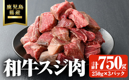 鹿児島県産和牛スジ肉 計750g(250g×3P) 黒毛和牛 牛肉 スジ【ビーフ倉薗】A801