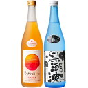 【ふるさと納税】焼酎 黒潮波（くろしおなみ）720mlと紀州完熟南高梅「梅酒」720mlの2本セット【TM19】