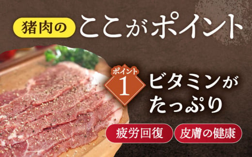 【3回定期便】ジビエ 天然イノシシ肉 角切り肉 800g（カレー・シチュー）【照本食肉加工所】[OAJ061] / 猪 猪肉 いのしし肉 イノシシ イノシシ肉 ジビエ いのしし 長崎県猪 川棚町産猪 