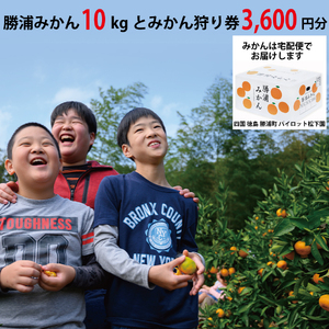 パイロット松下園 勝浦みかん 10kg＋みかん狩り券 3600円分