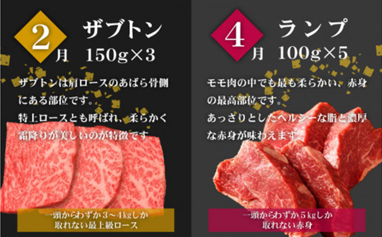 こゆ牛プレミアム定期便＜全6回＞ 1年間 宮崎黒毛和牛 偶数月配送※2025年2月開始 宮崎県産ブランド牛  A4等級以上 黒毛和牛 シャトーブリアン 希少部位を含む和牛6品【F42-25】