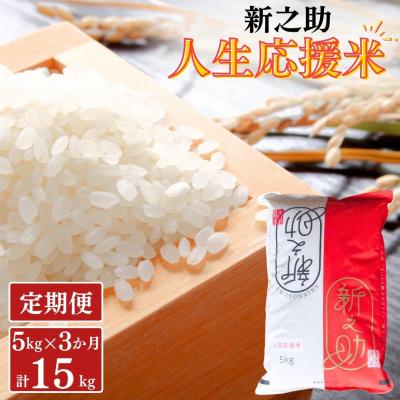 ふるさと納税 三条市 [定期便5kg×3か月] 新之助人生応援米 令和7年産 5kg 計15kg 新之助【035S013】
