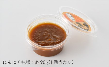 【全6回定期便】にんにく味噌 10個セット 国産【万能調味料】【野下上絵】[LE19]