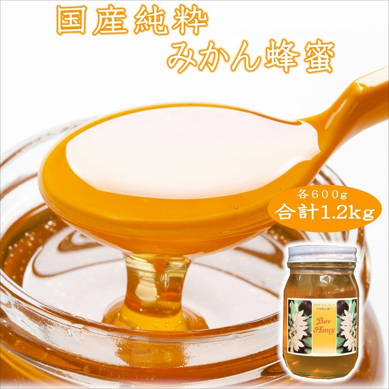 
                  紀州のみかん蜜セット600g×2本
                