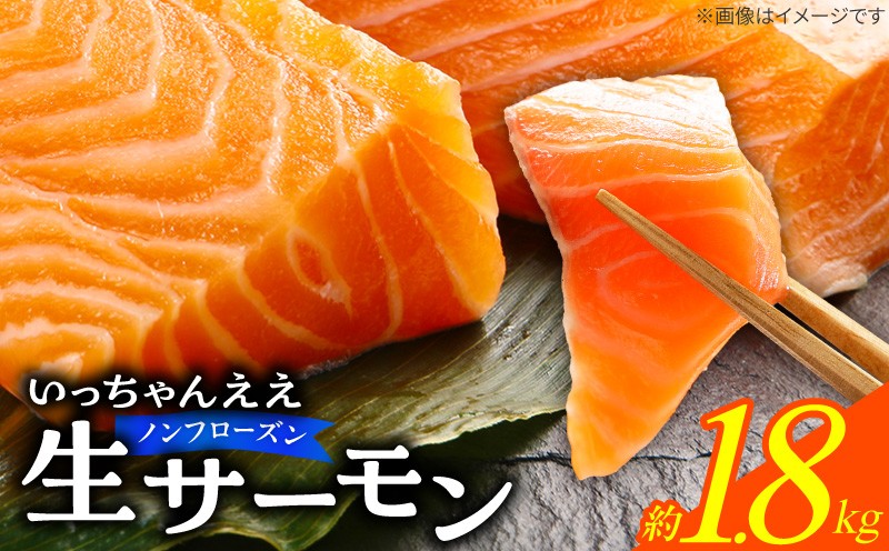 
                  生サーモン ノンフローズン 約 1.8kg アトランティックサーモン 鮭 手作業 ノルウェー産 刺身 寿司 丼 サラダ 魚 海鮮 グルメ 冷蔵 お取り寄せ 和歌山県 湯浅町 送料無料 _FJ1002
                
