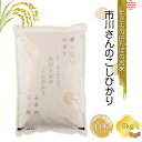 【ふるさと納税】生きもの田んぼのお米　市川さんのこしひかり 令和6年産【白米5kg】農薬・化学肥料・除草剤不使用　精米　コメ　信州【 米 コメ 備蓄品 仕送り おすそ分け 備蓄米 長野県 佐久市 】