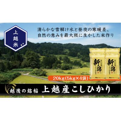 ふるさと納税 上越市 【新米　令和8年産】【食味鑑定士厳選】　新潟県上越市産こしひかり　合計20kg
