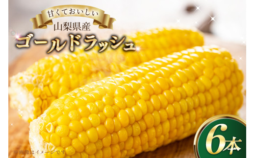 とうもろこし ゴールドラッシュ 6本 [さとう農園 山梨県 中央市 21471040] トウモロコシ スイートコーン 甘い コーン 野菜