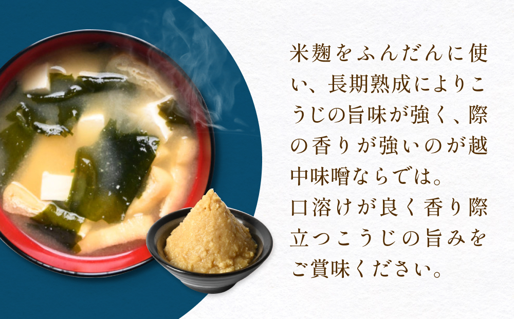減塩味噌 10割麹仕込み  750g×4個 ＜スマイルケア食品認定＞ こうじ味噌 減塩 発酵 味噌汁 グルテンフリー 朝食 熟成 富山県 氷見市