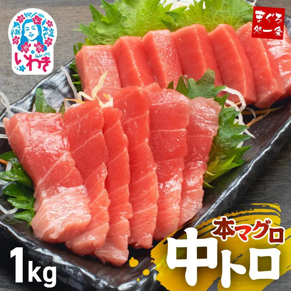 本マグロ中トロ 小分け 約1kg まぐろ