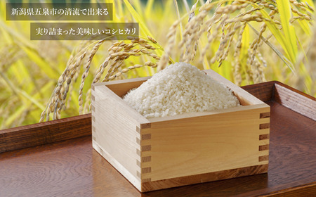 老舗割烹仕込みの釜めし2種セット（牡蠣・鶏照り） 新潟県 五泉市 株式会社松の家